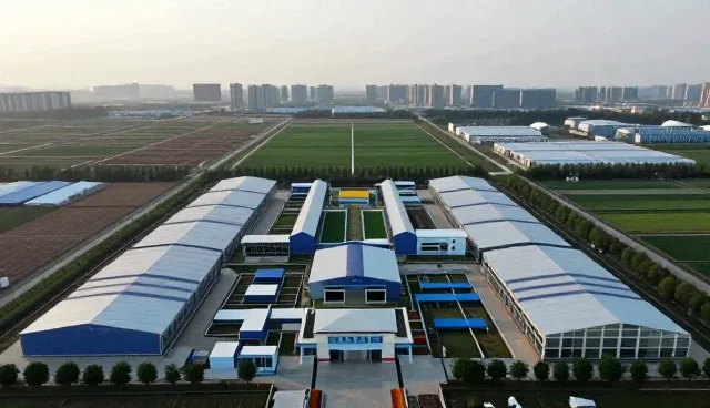 网络技术支撑下的官网性能提升策略
